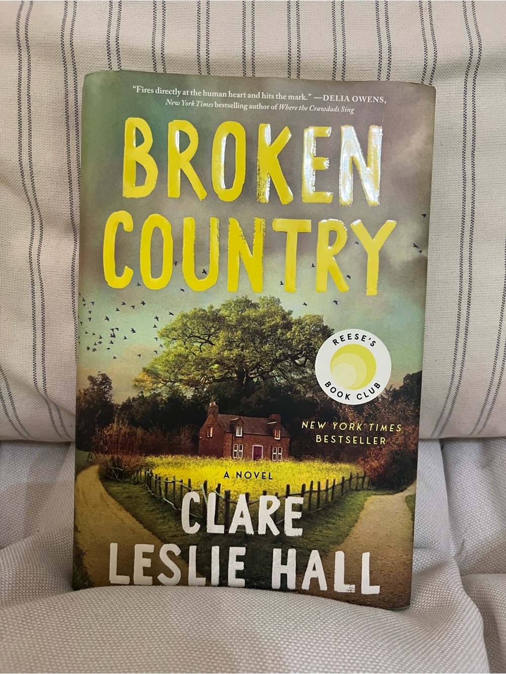 Broken Country by Clare Leslie Hall - Yellow & Green Cover